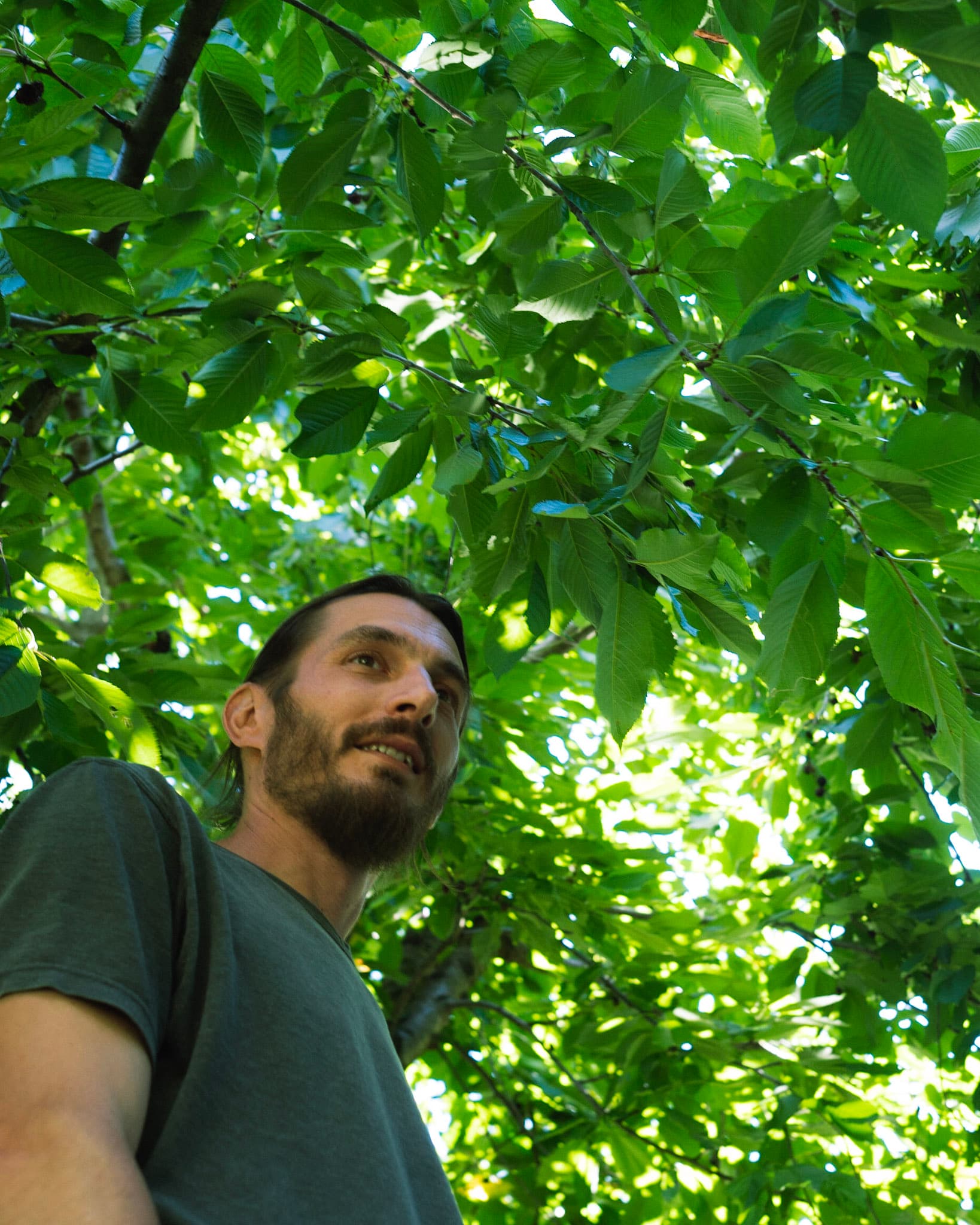 Yves Zogg — Kompostberater